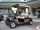 Club Car Ds Model Golf Cart Woody Kit